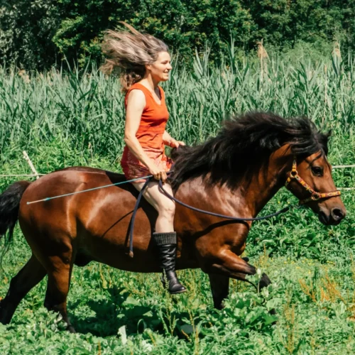 Nele Aengenheister